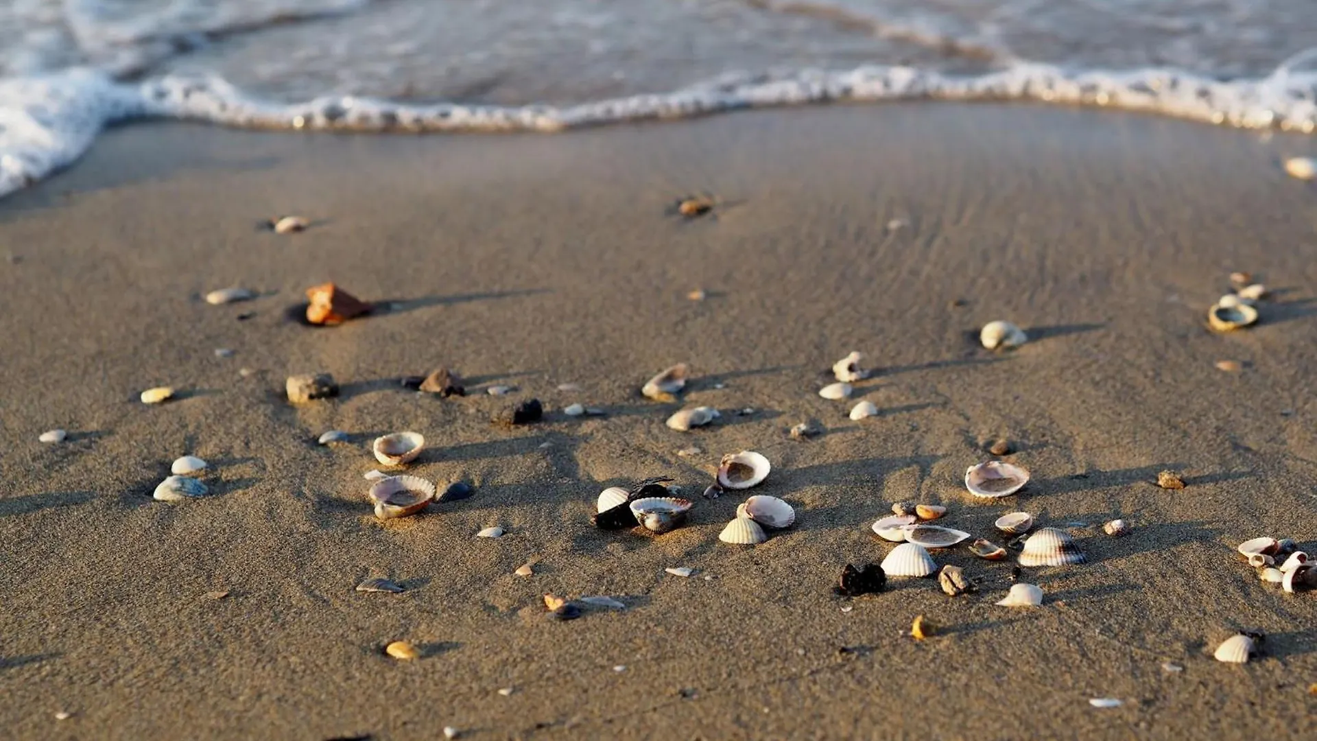 Apartment Serene Stay In The Heart Of Bibione